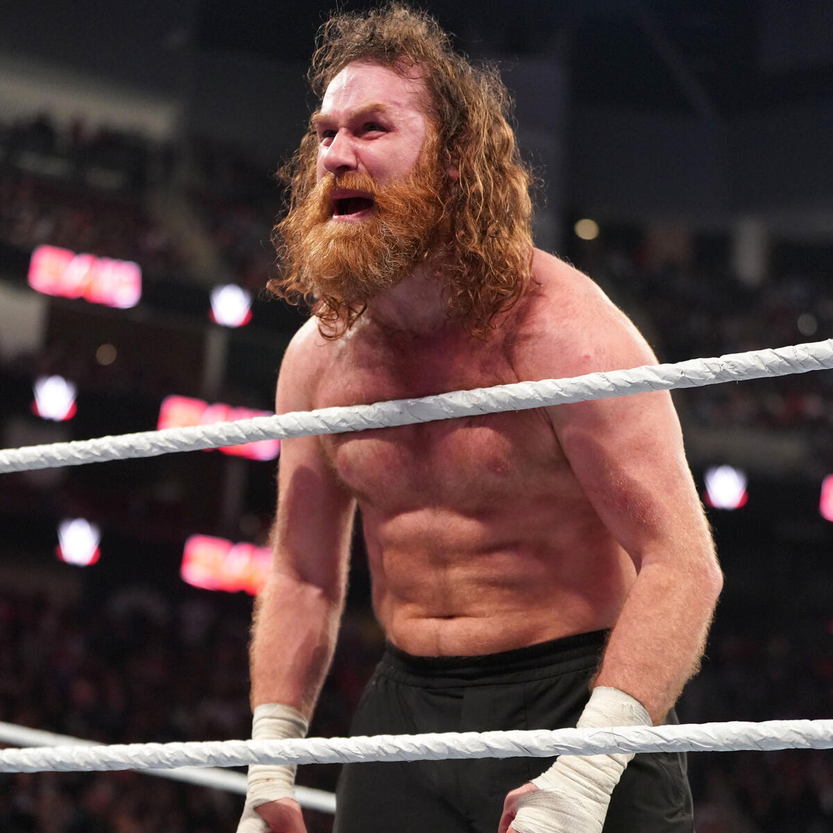 Courtesy WWE